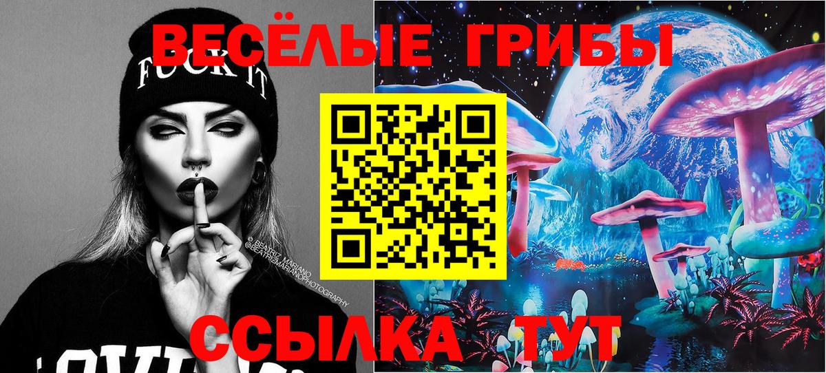 Рыбинск  Галлюциногенные грибы Psilocybine cubensis  Вход с VPN 